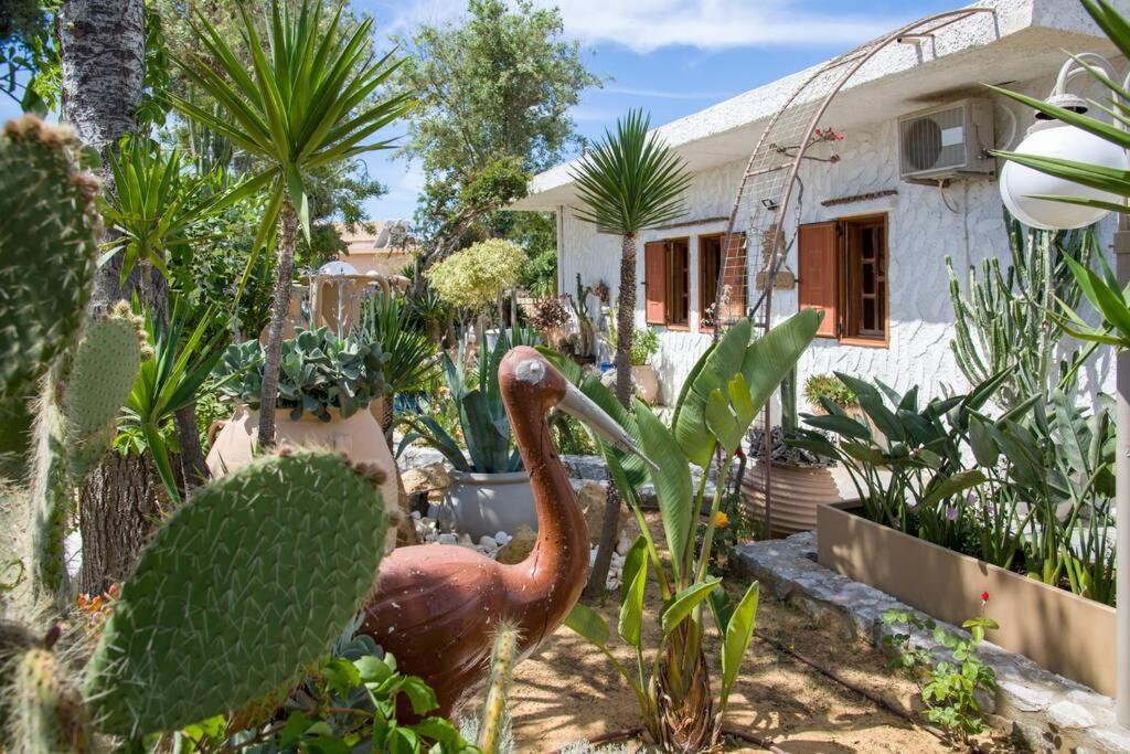 干尼亞Renas Secret Garden House别墅 外观 照片